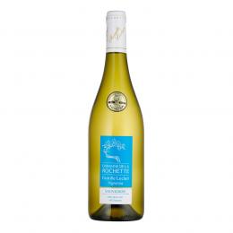 Sauvignon 2023 Blanc