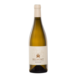 Montaigne 2022 Blanc