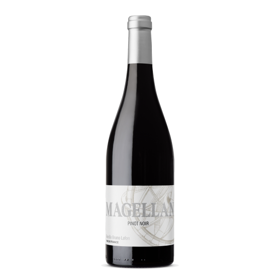 Pinot Noir 2025 Rouge